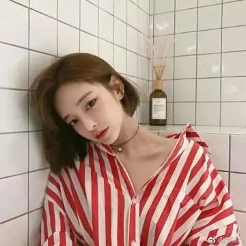 南北少林