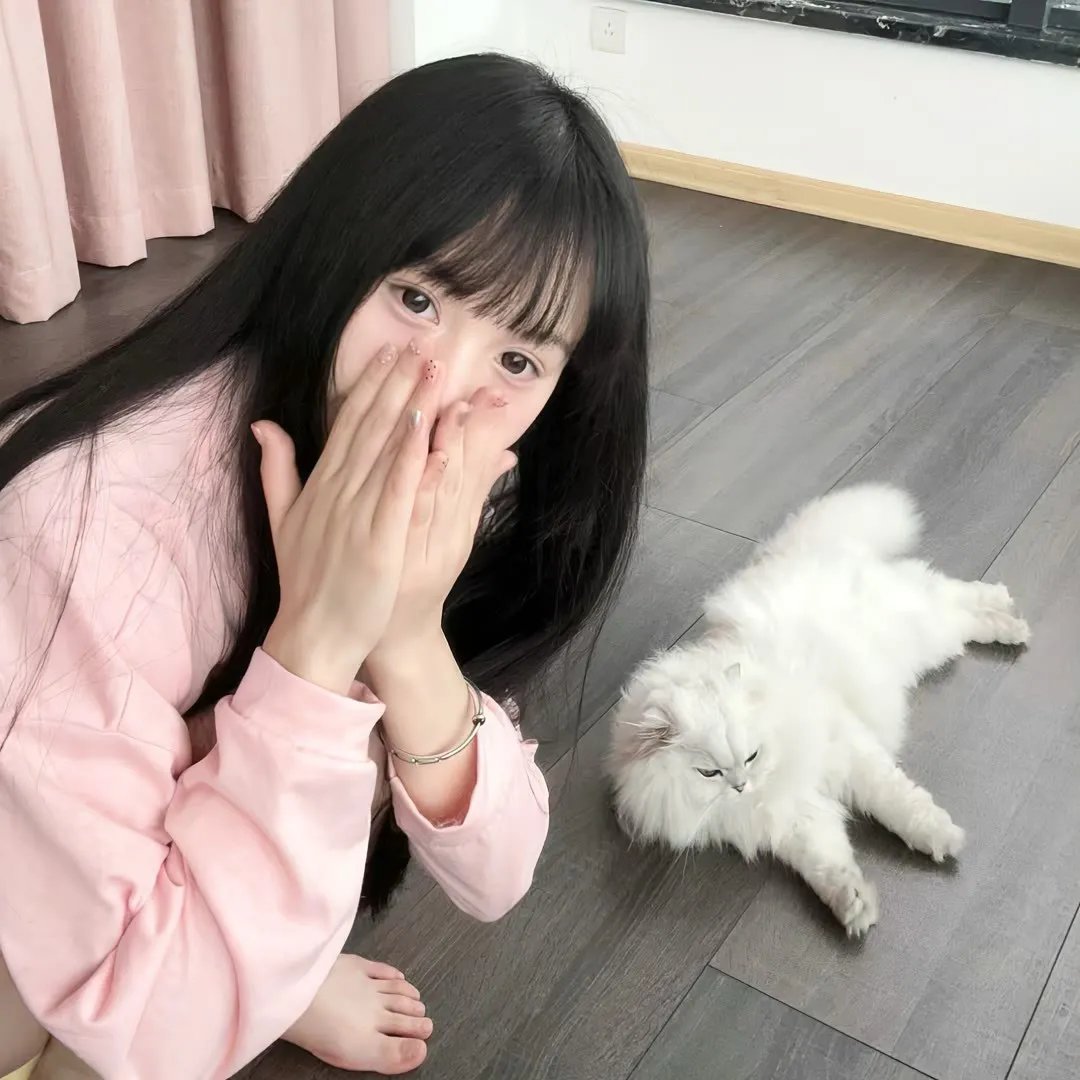 侠盗红狐狸